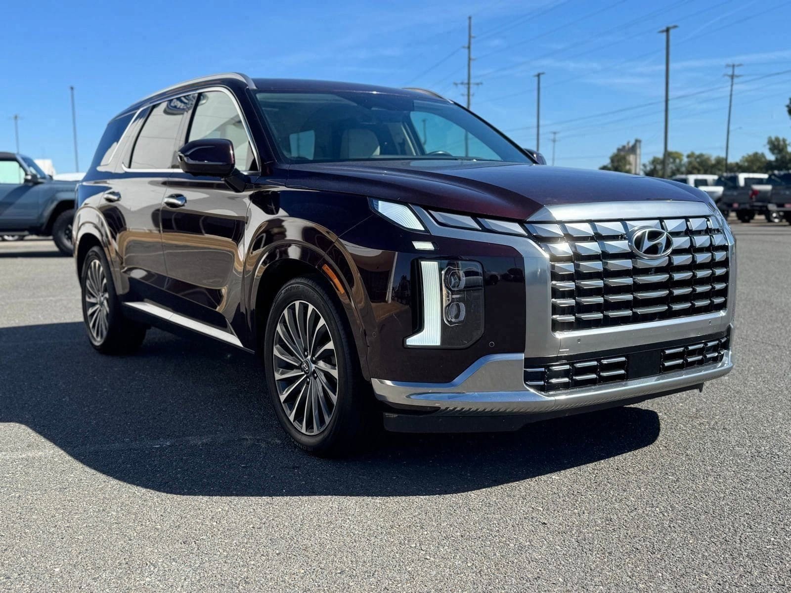 2024 Hyundai Palisade Calligraphy - Photo 6