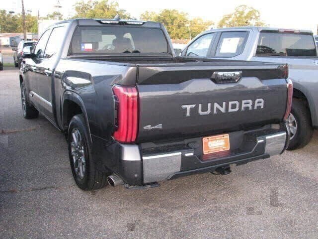2024 Toyota Tundra 1794 Edition - Photo 25