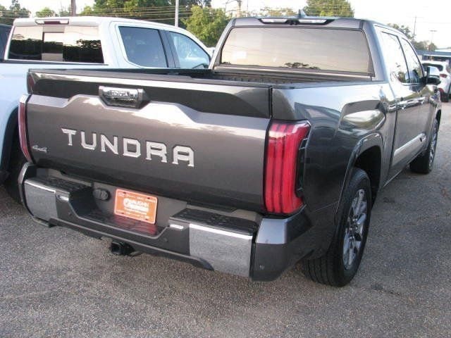 2024 Toyota Tundra 1794 Edition - Photo 23