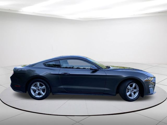 Used 2019 Ford Mustang EcoBoost with VIN 1FA6P8TH8K5203459 for sale in Sheboygan, WI