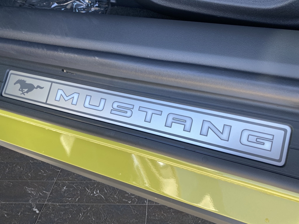 2025 Ford Mustang GT Premium Fastback - Photo 19