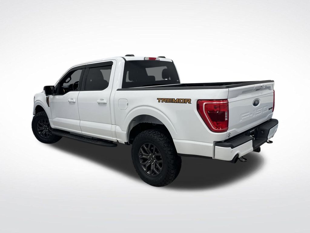 2023 Ford F-150 Tremor photo 3