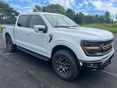 2025 Ford F-150 Tremor Truck