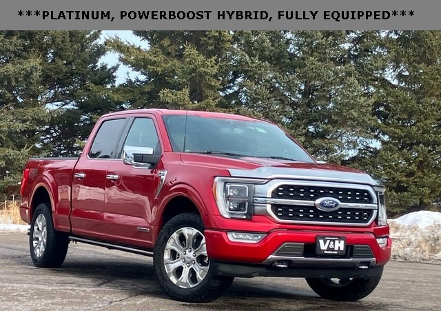 2021 Ford F-150 Platinum