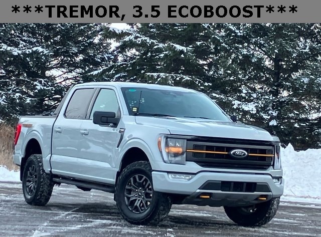 2023 Ford F-150 Tremor's photo