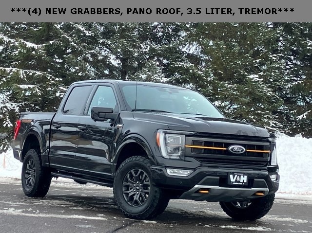 2023 Ford F-150 Tremor's photo