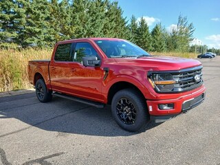 2025 Ford F-150 XLT Truck