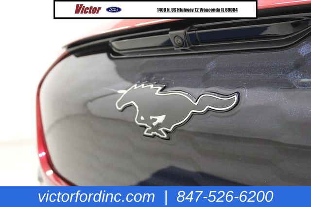 Used 2024 Ford Mustang Mach-E GT AWD with VIN 3FMTK4SX1RMA10731 for sale in Wauconda, IL