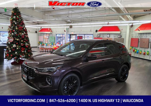 2023 Ford Escape ST-Line Elite's photo