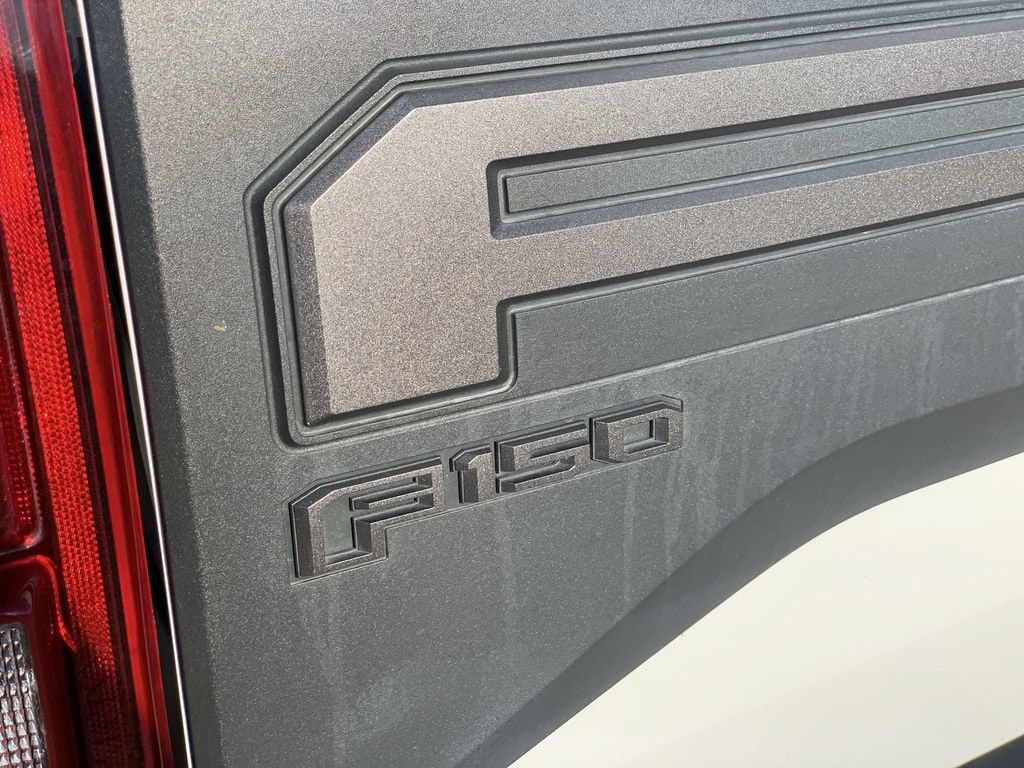 2019 Ford F-150 Raptor - Photo 31