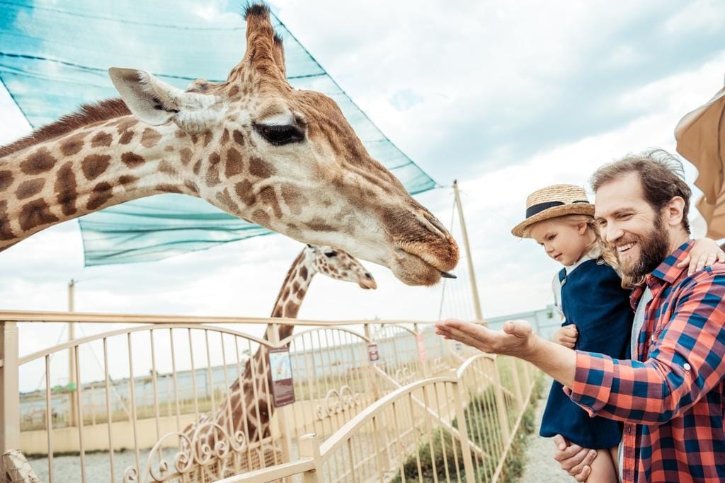Best Family-Friendly Activities in Victorville, CA.jpg