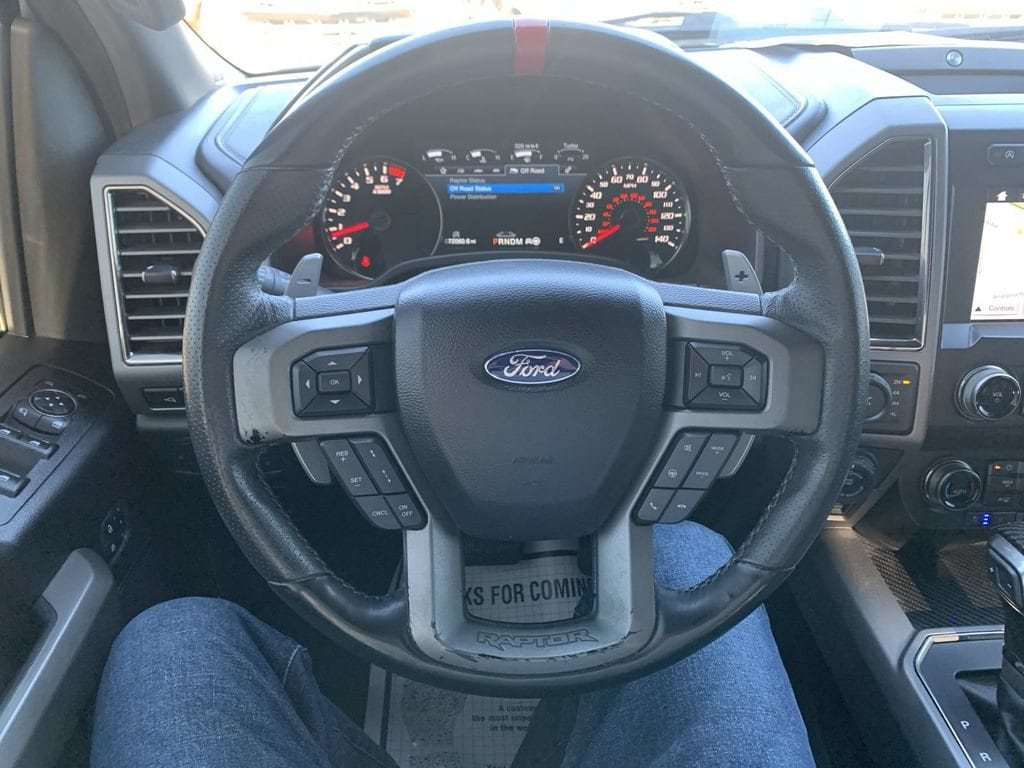 2019 Ford F-150 Raptor - Photo 10