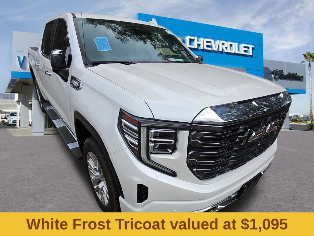 2023 GMC Sierra 1500 Denali photo 3