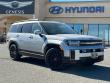 New 2025 Hyundai Santa Fe Calligraphy AWD SUV