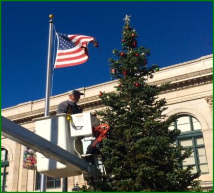 Auburn Chamber of Commerce Tree