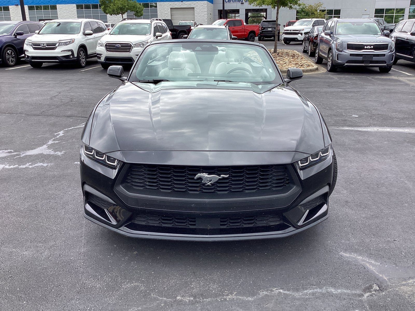 2024 Ford Mustang EcoBoost Convertible photo 2