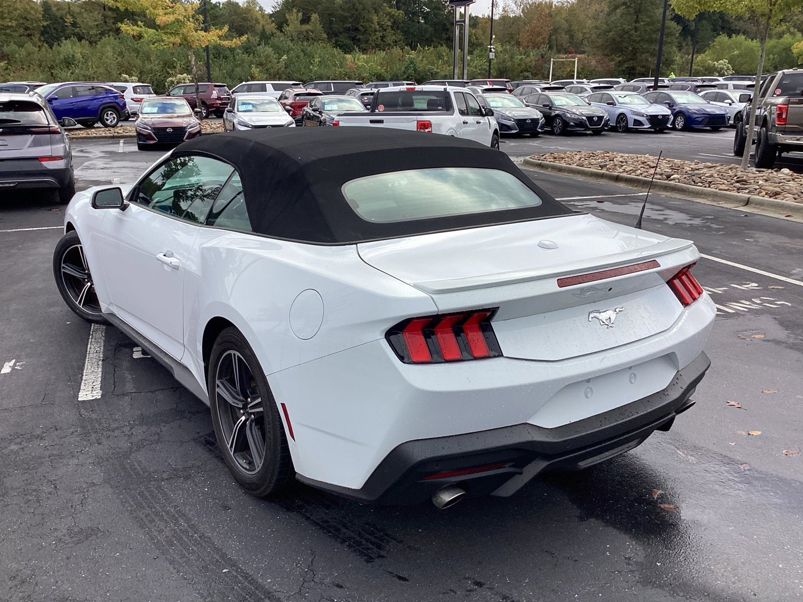 2024 Ford Mustang EcoBoost Convertible photo 2
