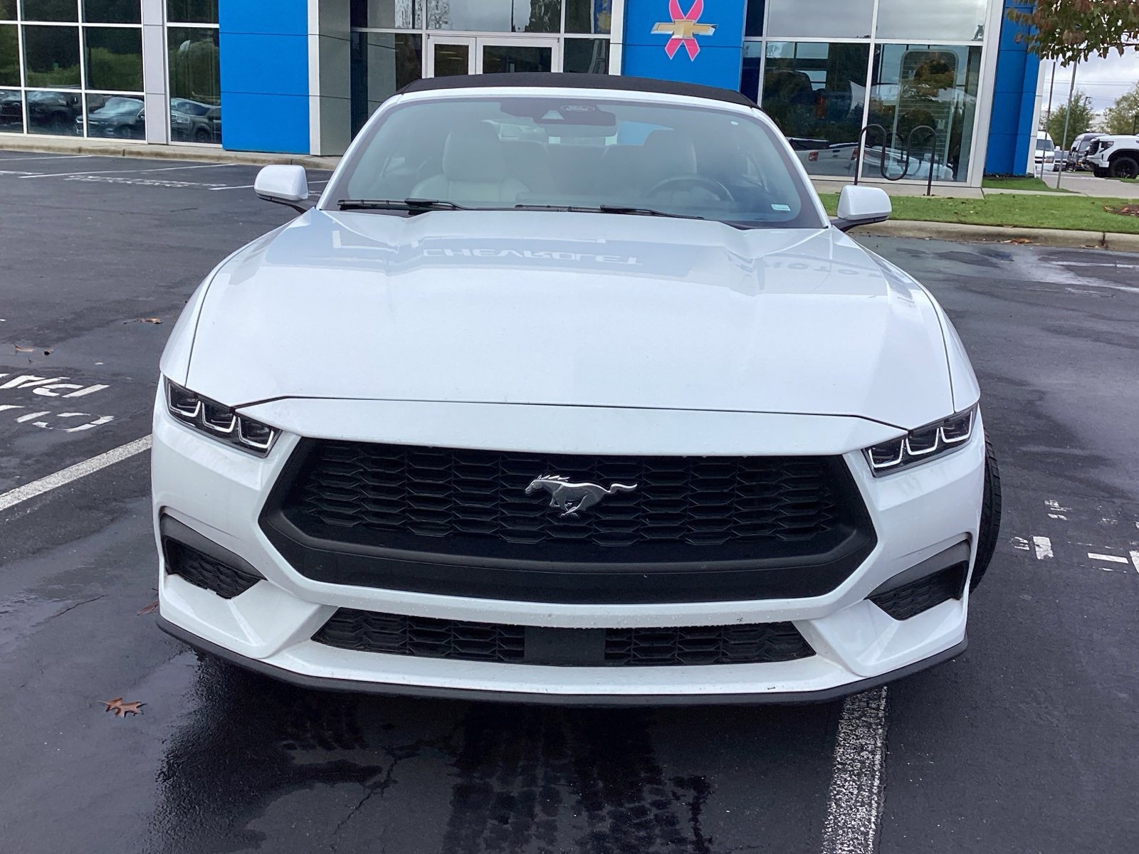 2024 Ford Mustang EcoBoost Convertible photo 4