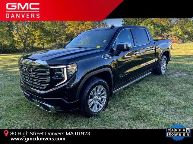 2022 Gmc Sierra 1500 Denali photo 2