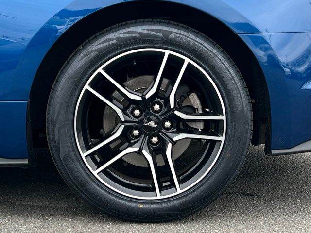 2022 Ford Mustang EcoBoost photo 4