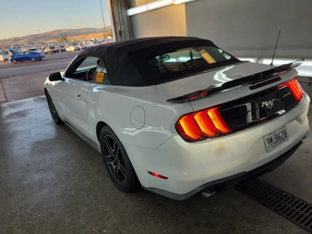 2019 Ford Mustang EcoBoost Premium Convertible photo 3