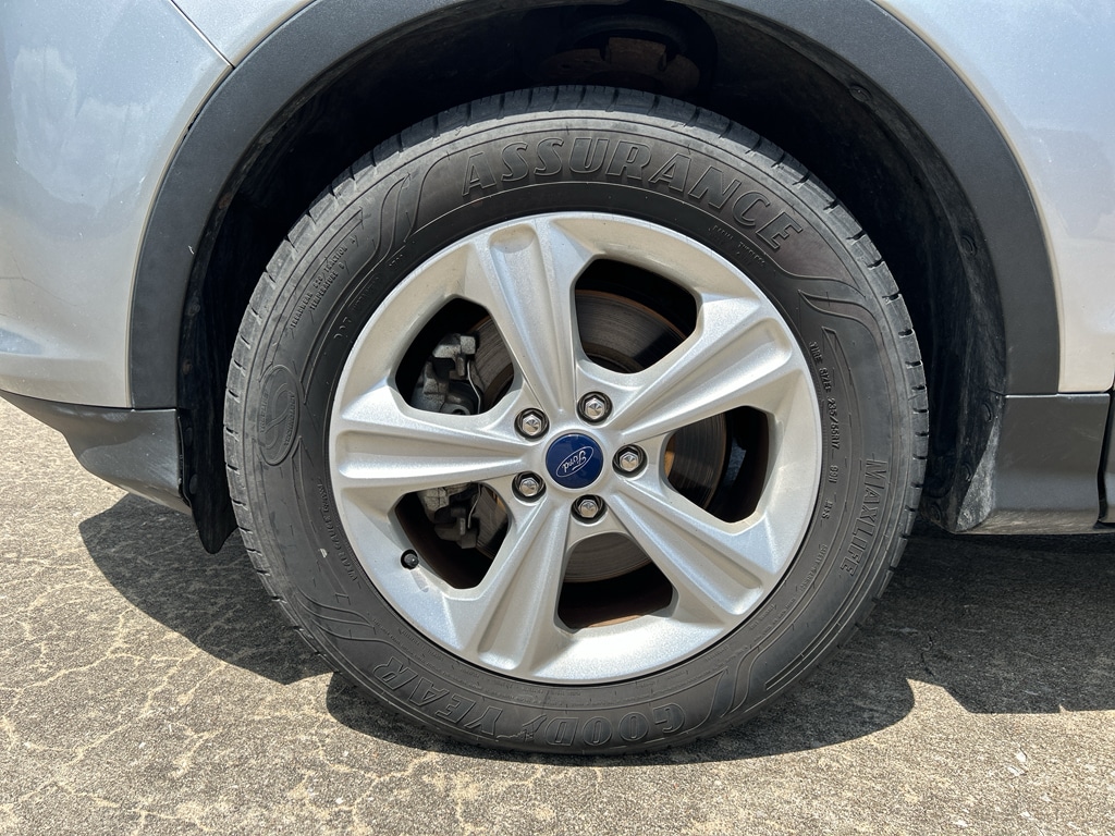 Photo 19