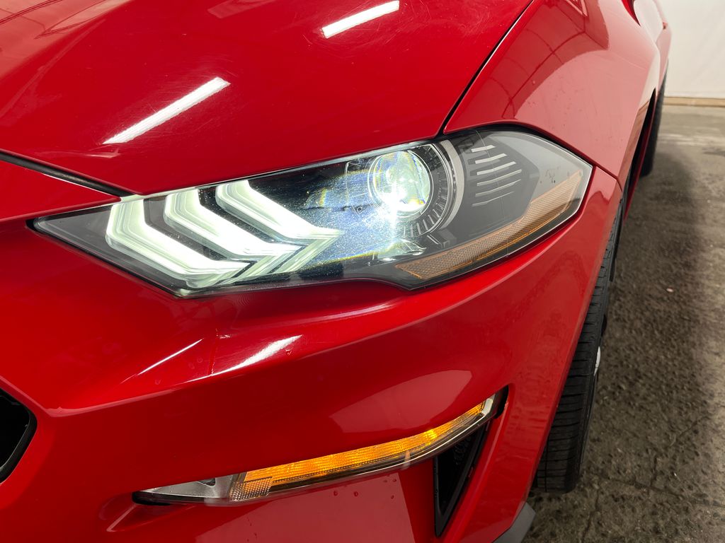 2019 Ford Mustang GT Premium - Photo 9