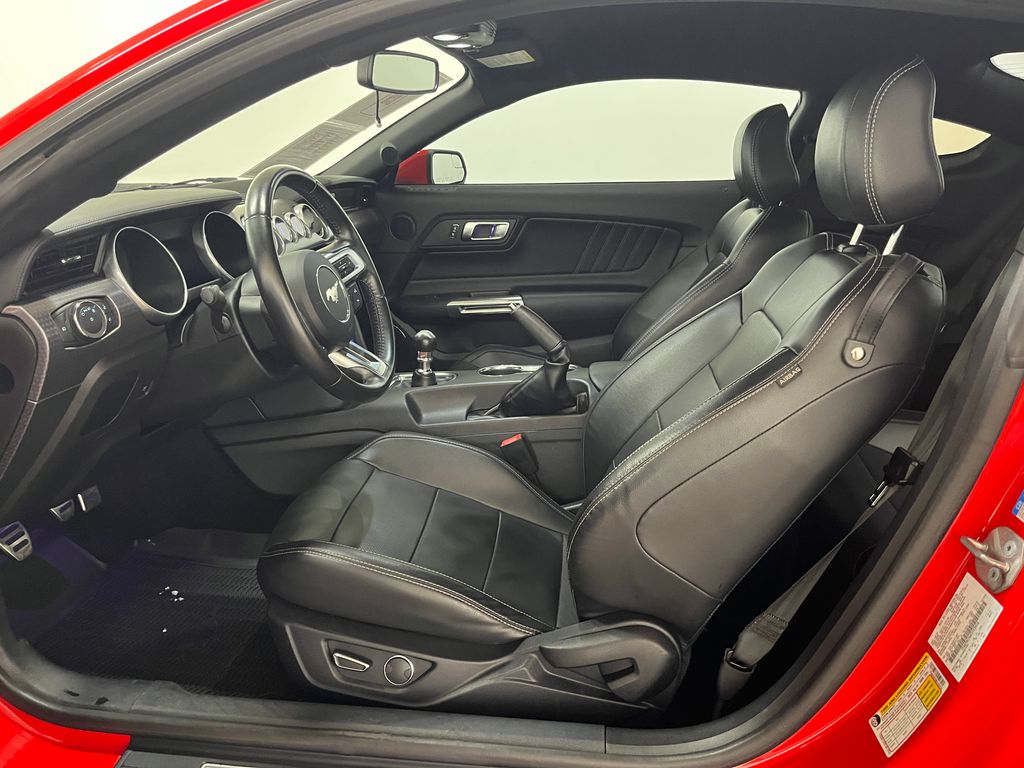 2019 Ford Mustang GT Premium - Photo 11