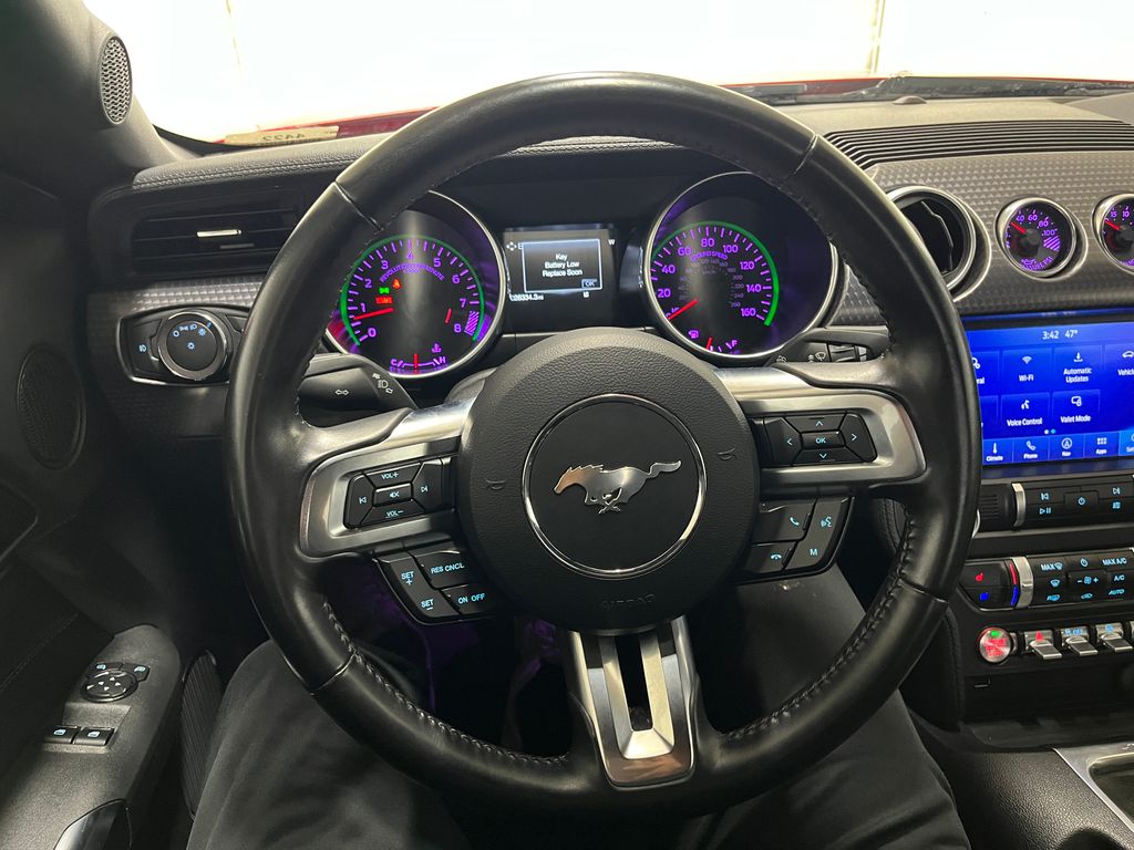 2019 Ford Mustang GT Premium - Photo 16