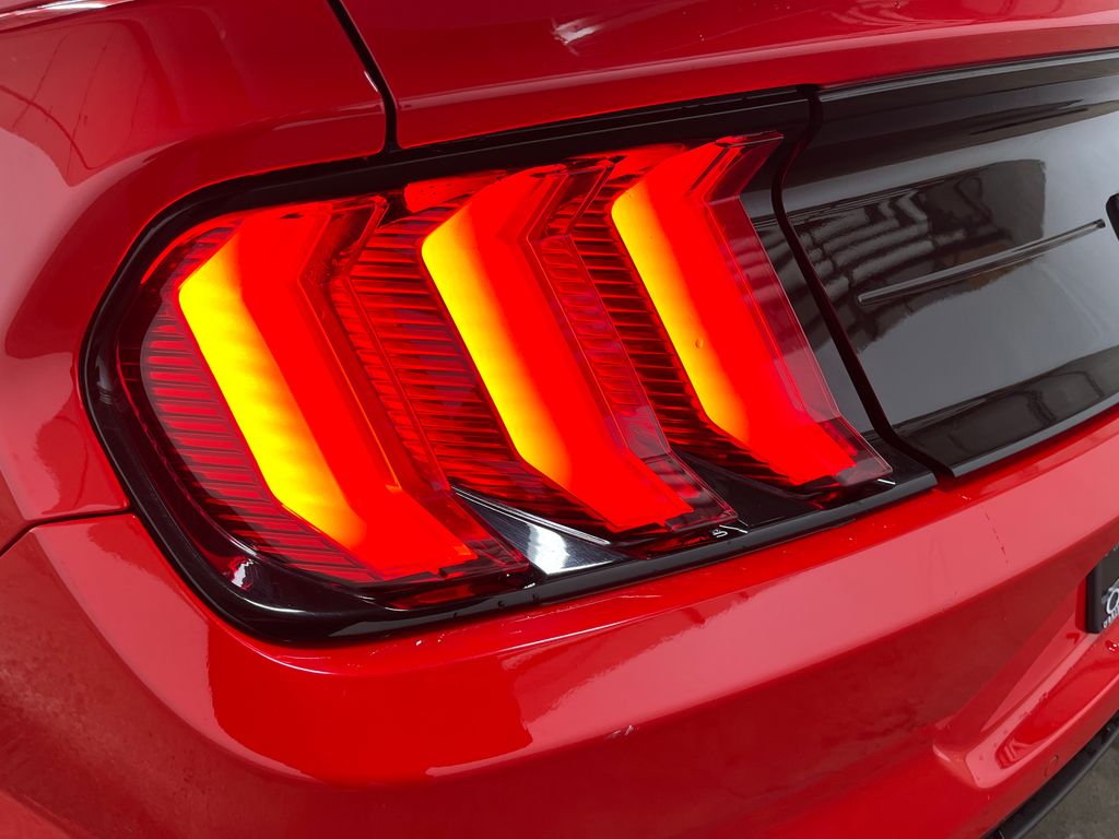 2019 Ford Mustang GT Premium - Photo 10