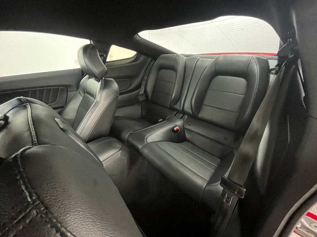 2019 Ford Mustang GT Premium - Photo 12