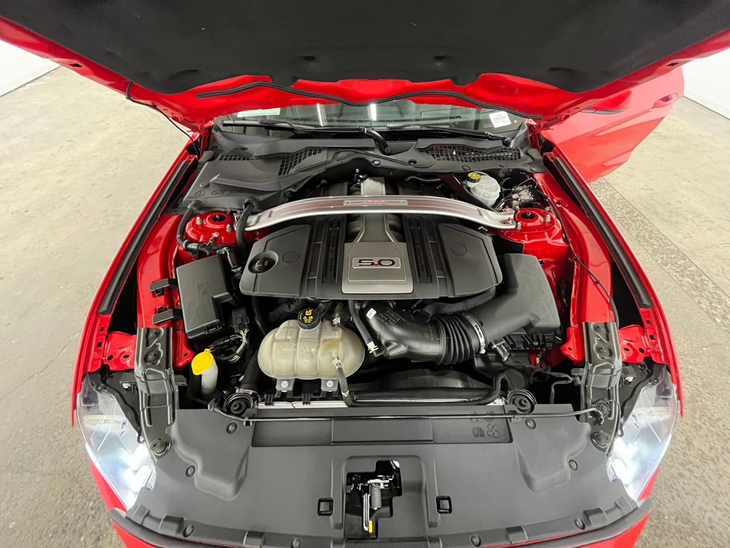 2019 Ford Mustang GT Premium - Photo 20