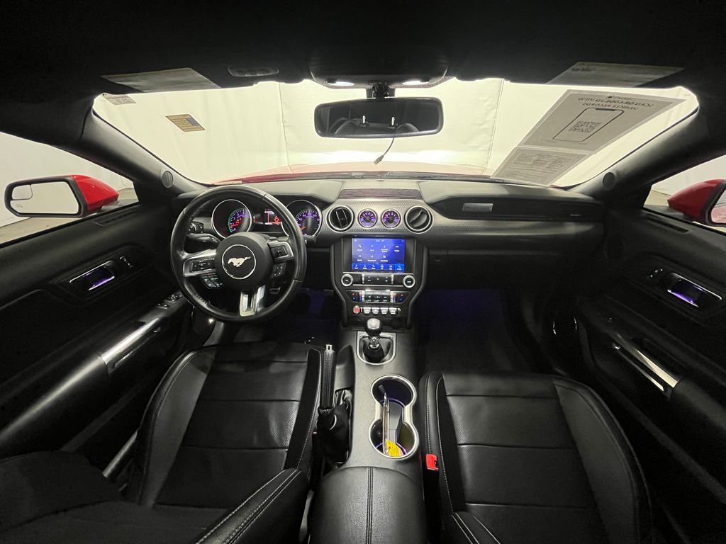 2019 Ford Mustang GT Premium - Photo 15