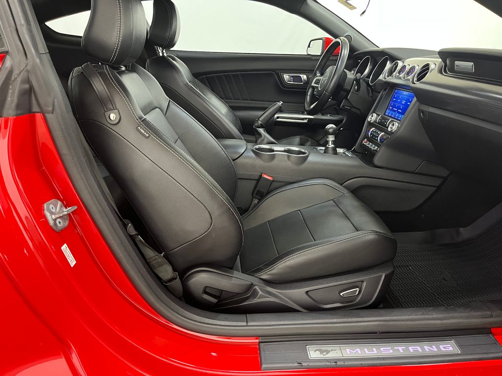 2019 Ford Mustang GT Premium - Photo 13