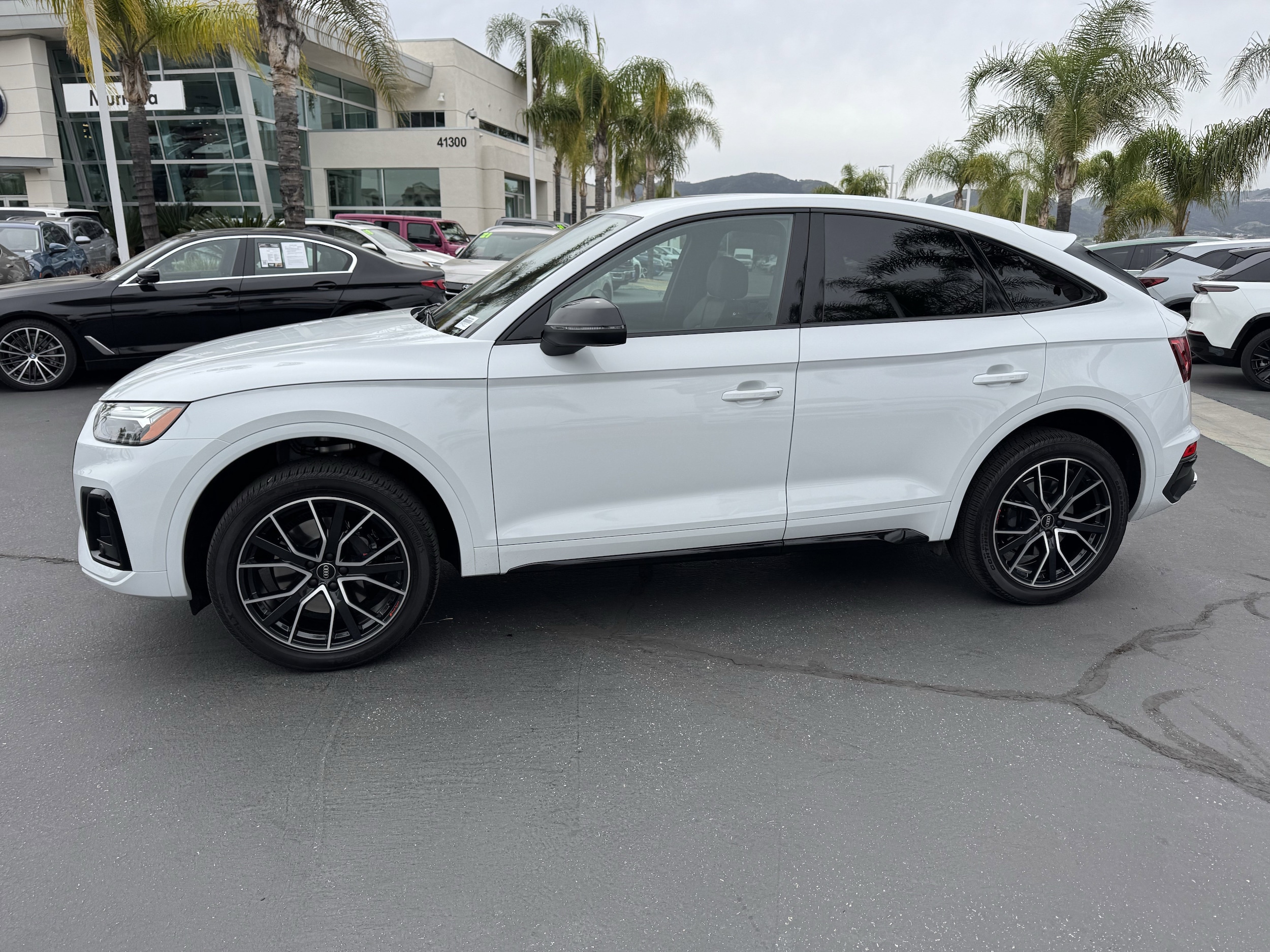 2024 Audi SQ5 Sportback Premium Plus photo 5