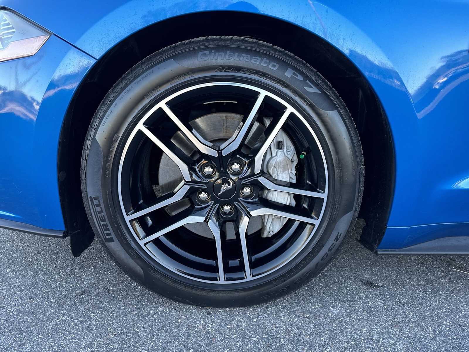 Thumbnail: 2019 Ford Mustang - 14