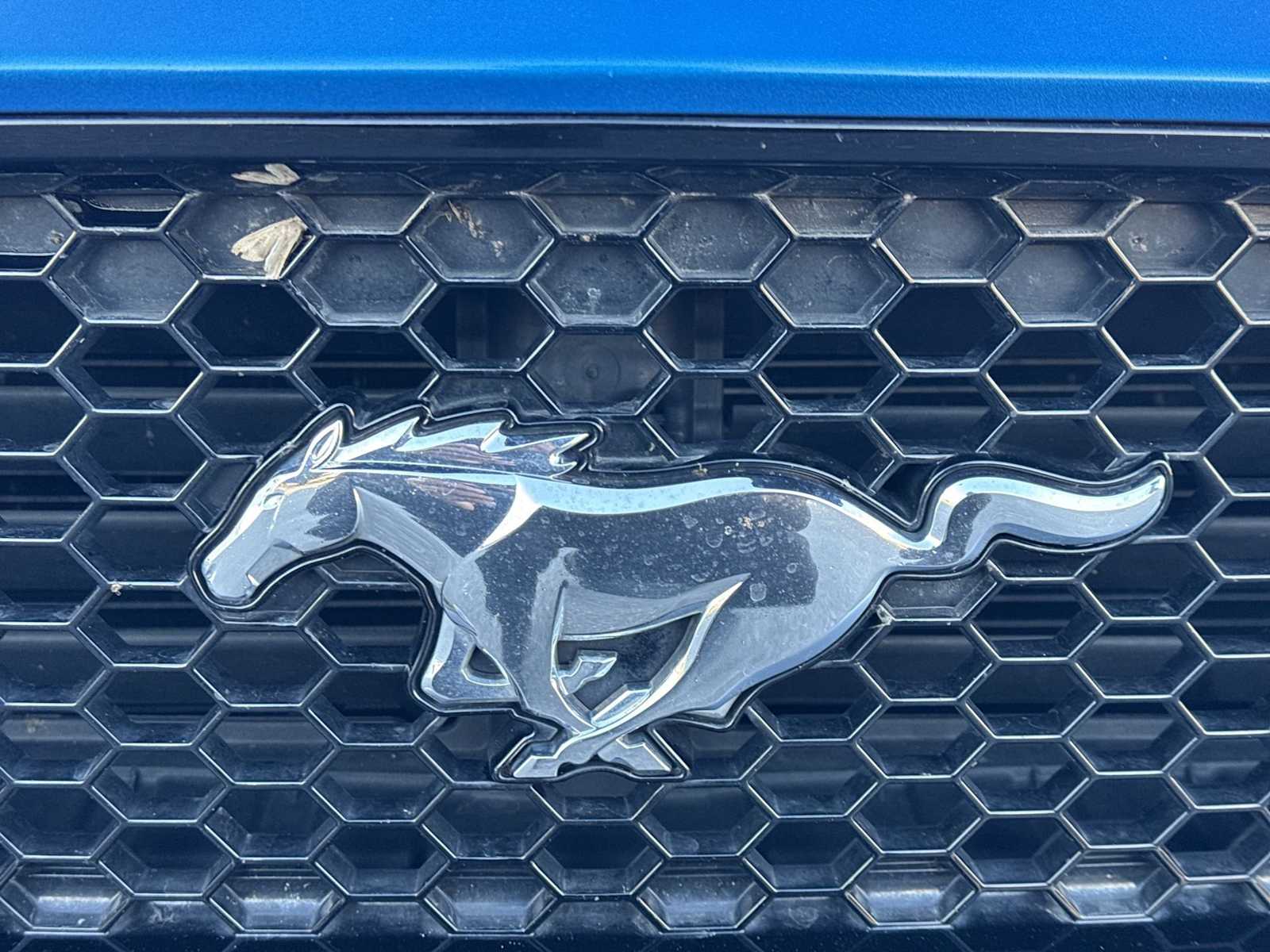 Thumbnail: 2019 Ford Mustang - 12