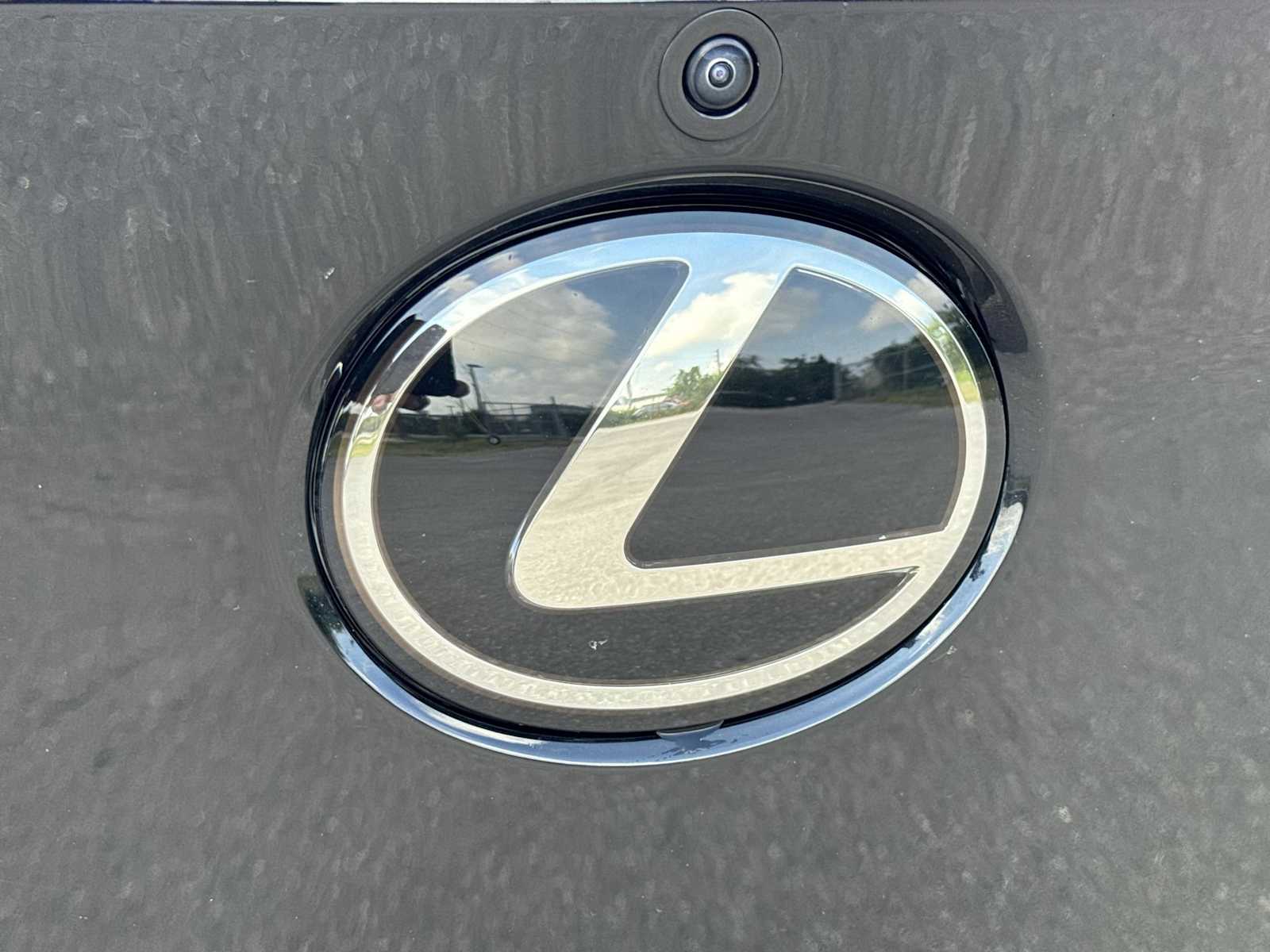 Thumbnail: 2024 Lexus RZ - 10