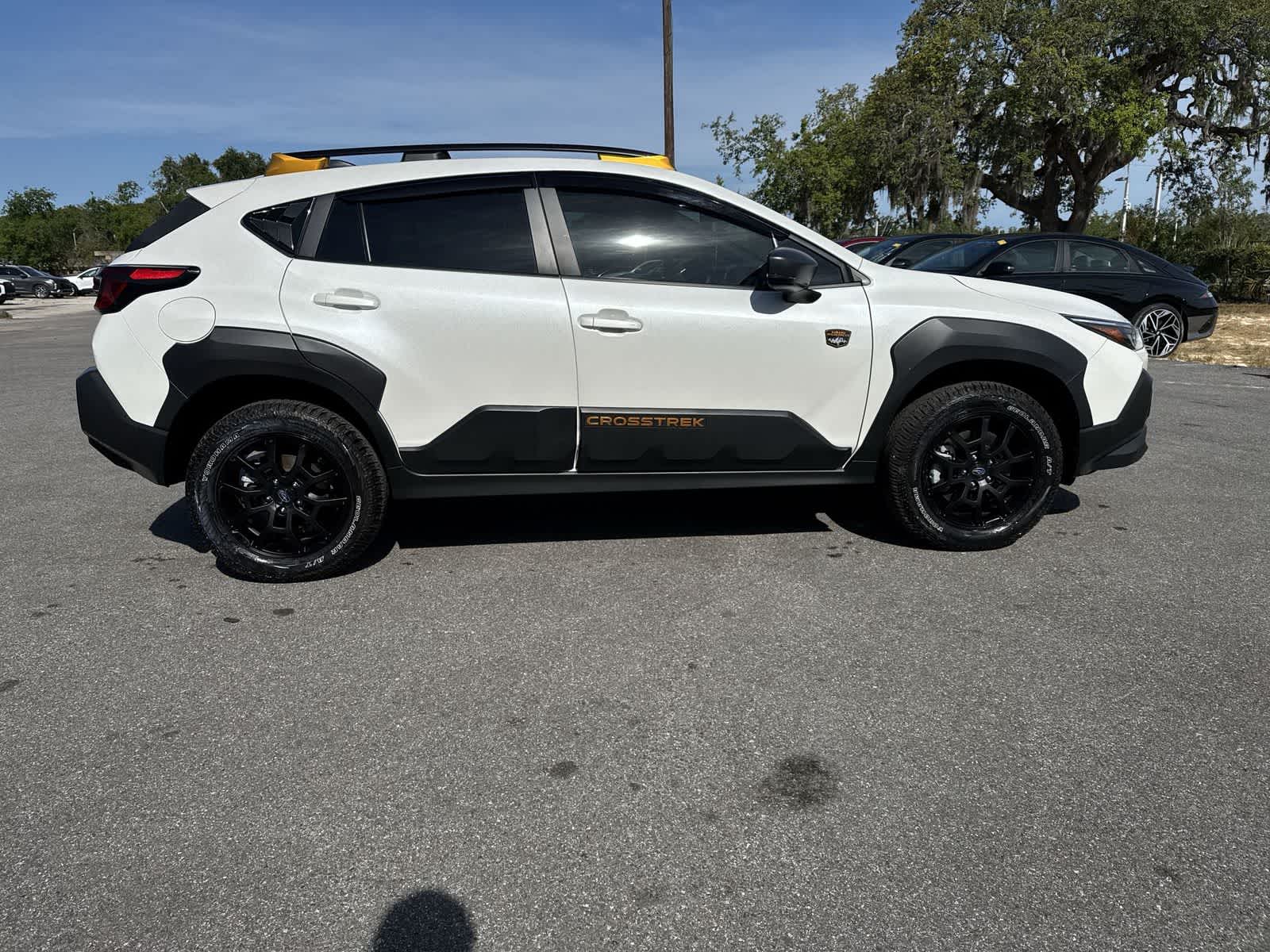 Thumbnail: 2025 Subaru Crosstrek - 10