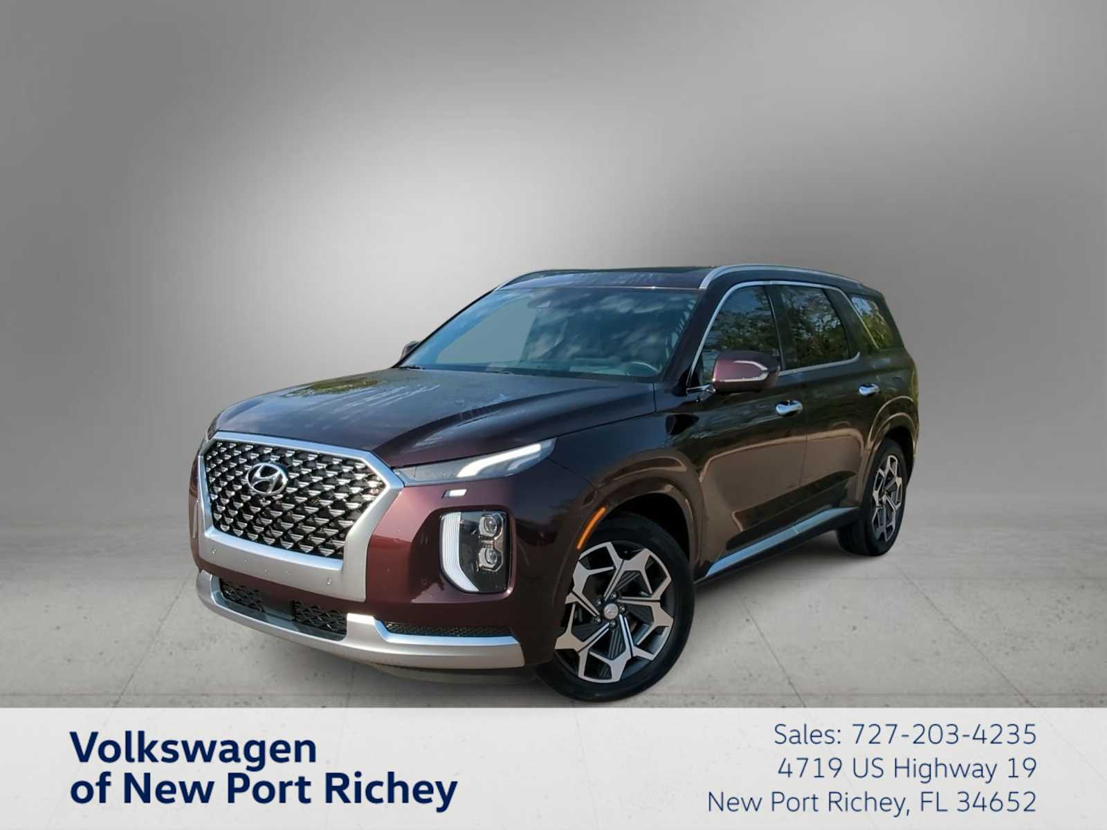 2021 Hyundai Palisade Calligraphy Hero Image