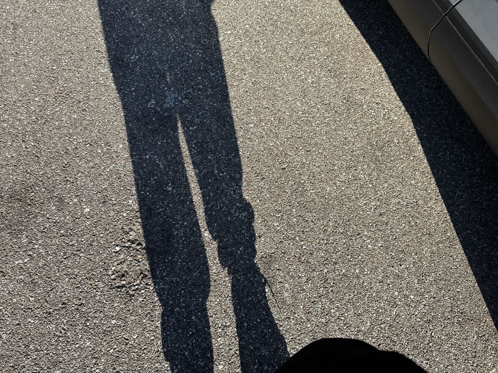 Thumbnail: 2026 Volkswagen Atlas - 12