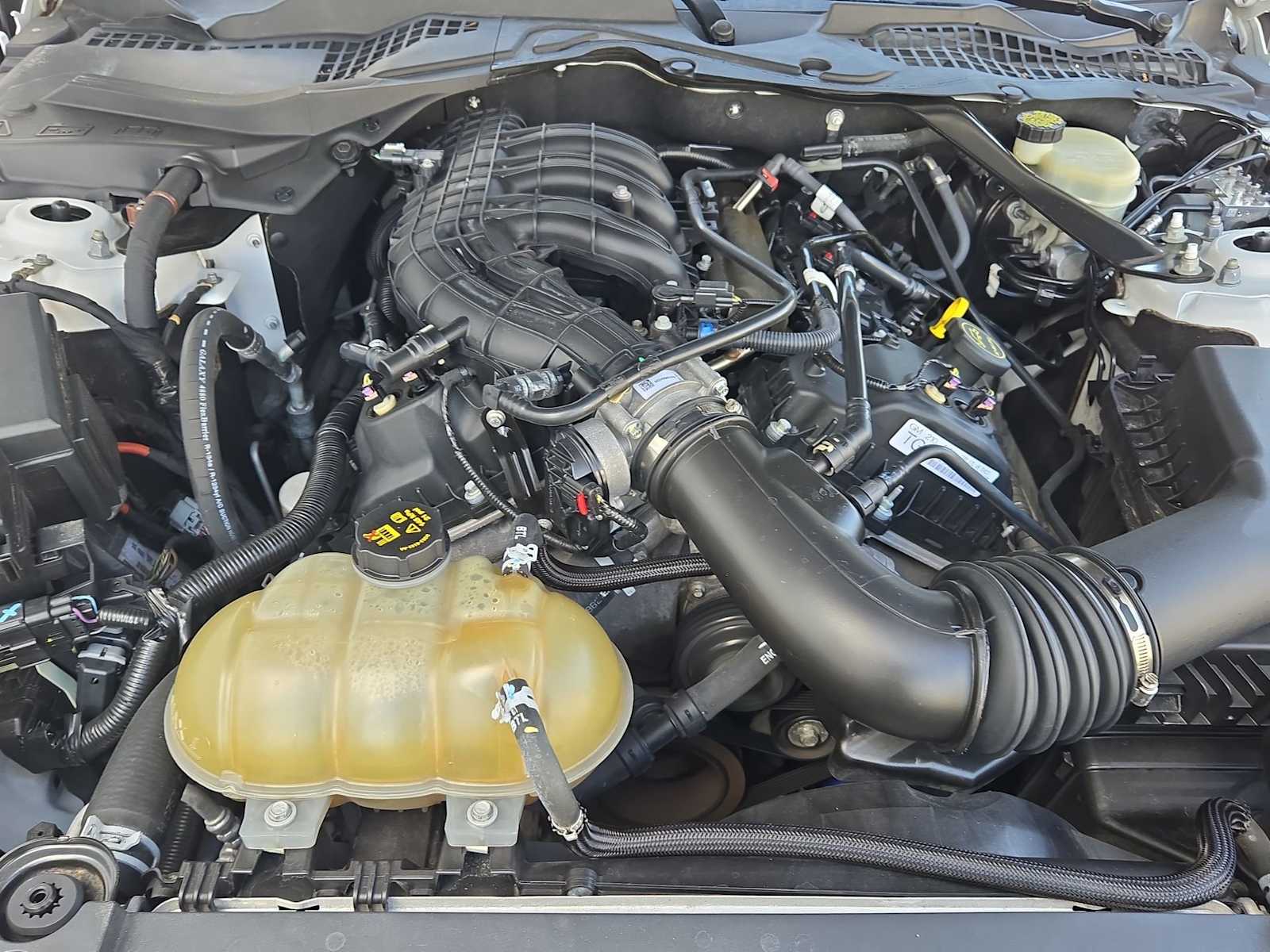 Thumbnail: 2016 Ford Mustang - 14