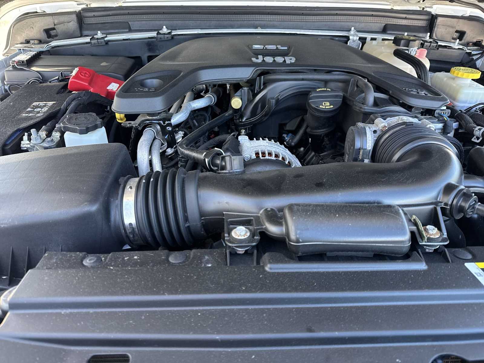 Thumbnail: 2019 Jeep Wrangler - 14