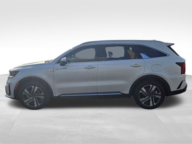 2023 Kia Sorento Hybrid SX Prestige photo 4