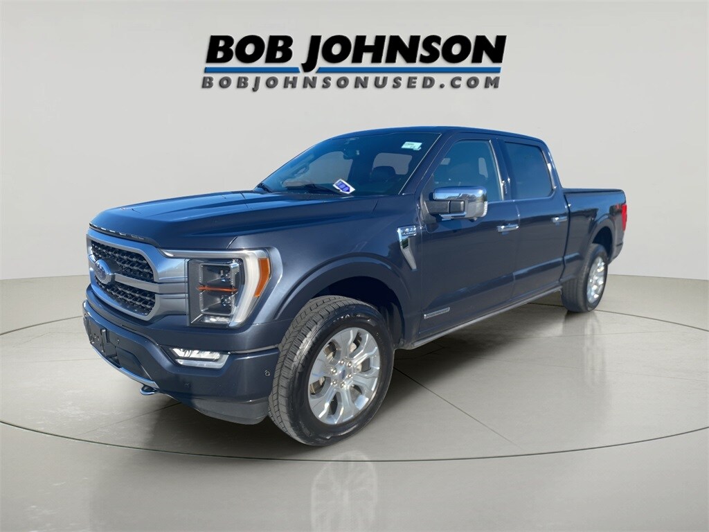 2021 Ford F-150 Platinum photo 3