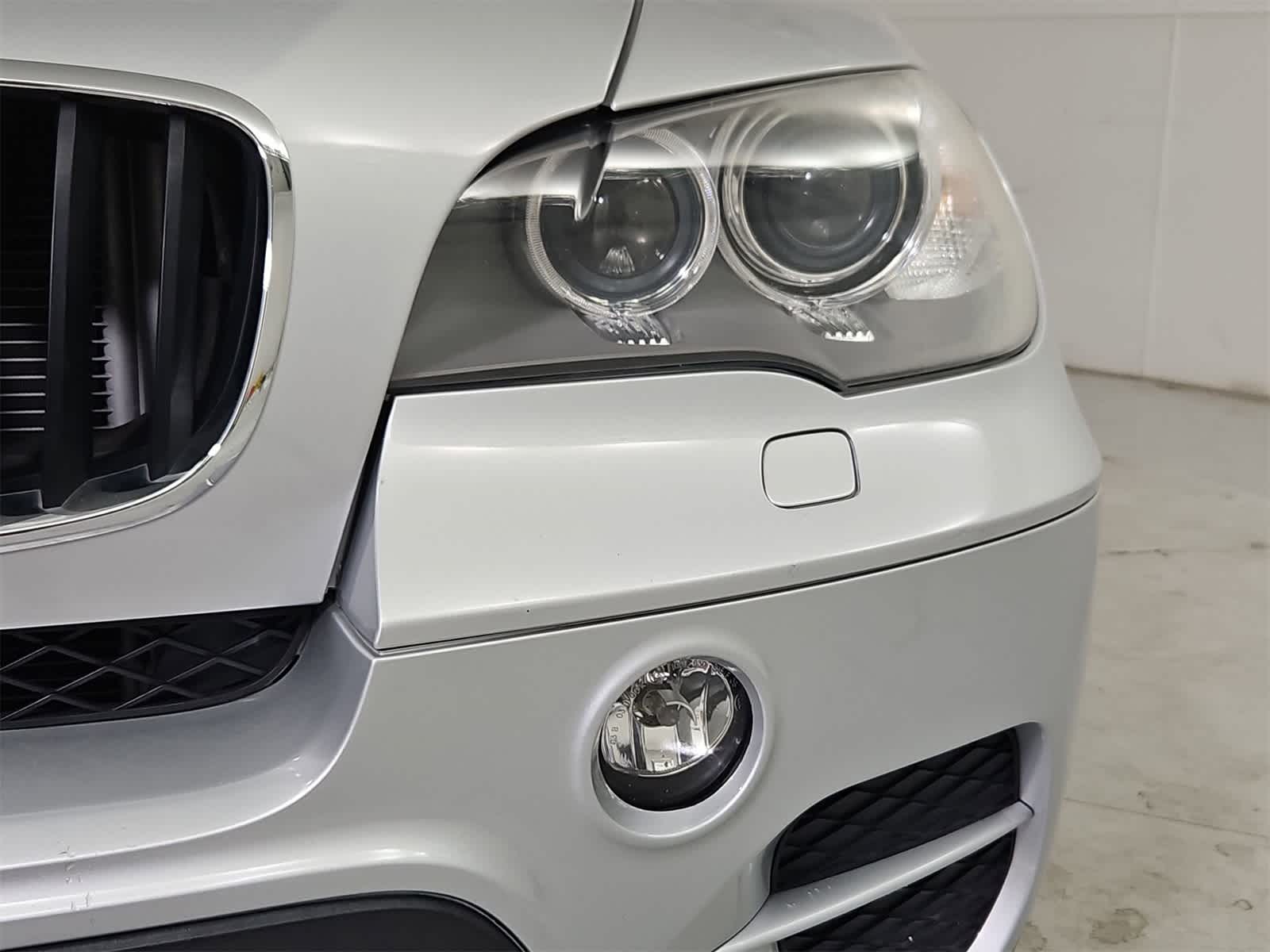 Thumbnail: 2013 BMW X5 - 10