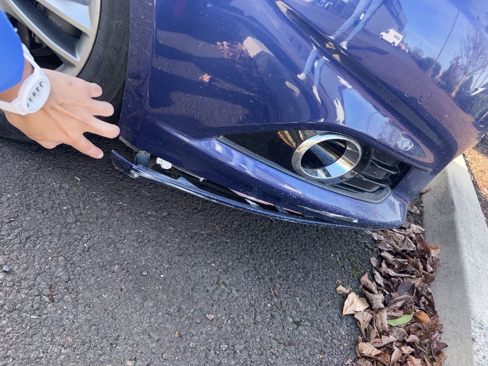 2015 Ford Fusion Hybrid Titanium photo 3