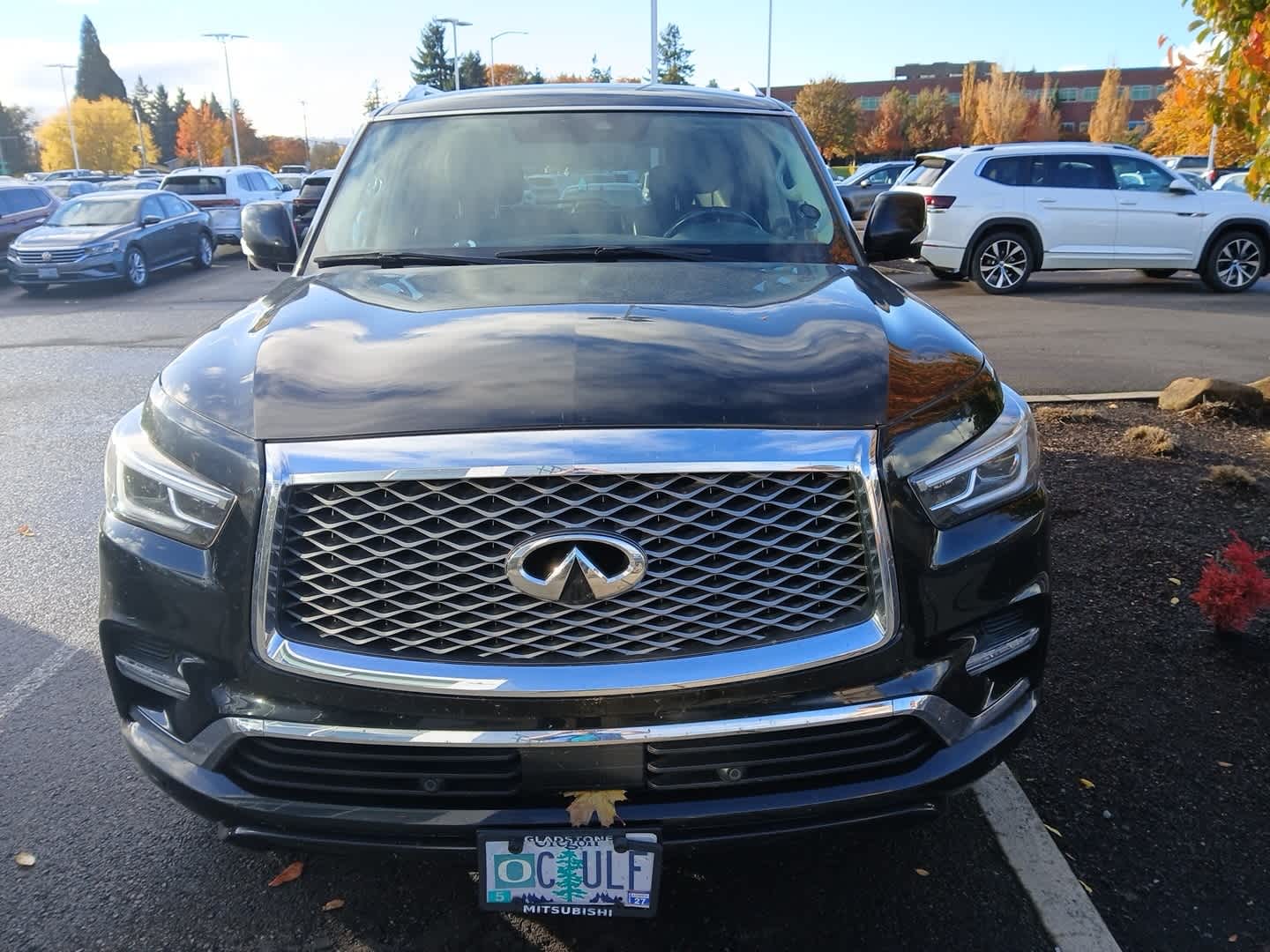 Thumbnail: 2019 INFINITI QX80 - 2