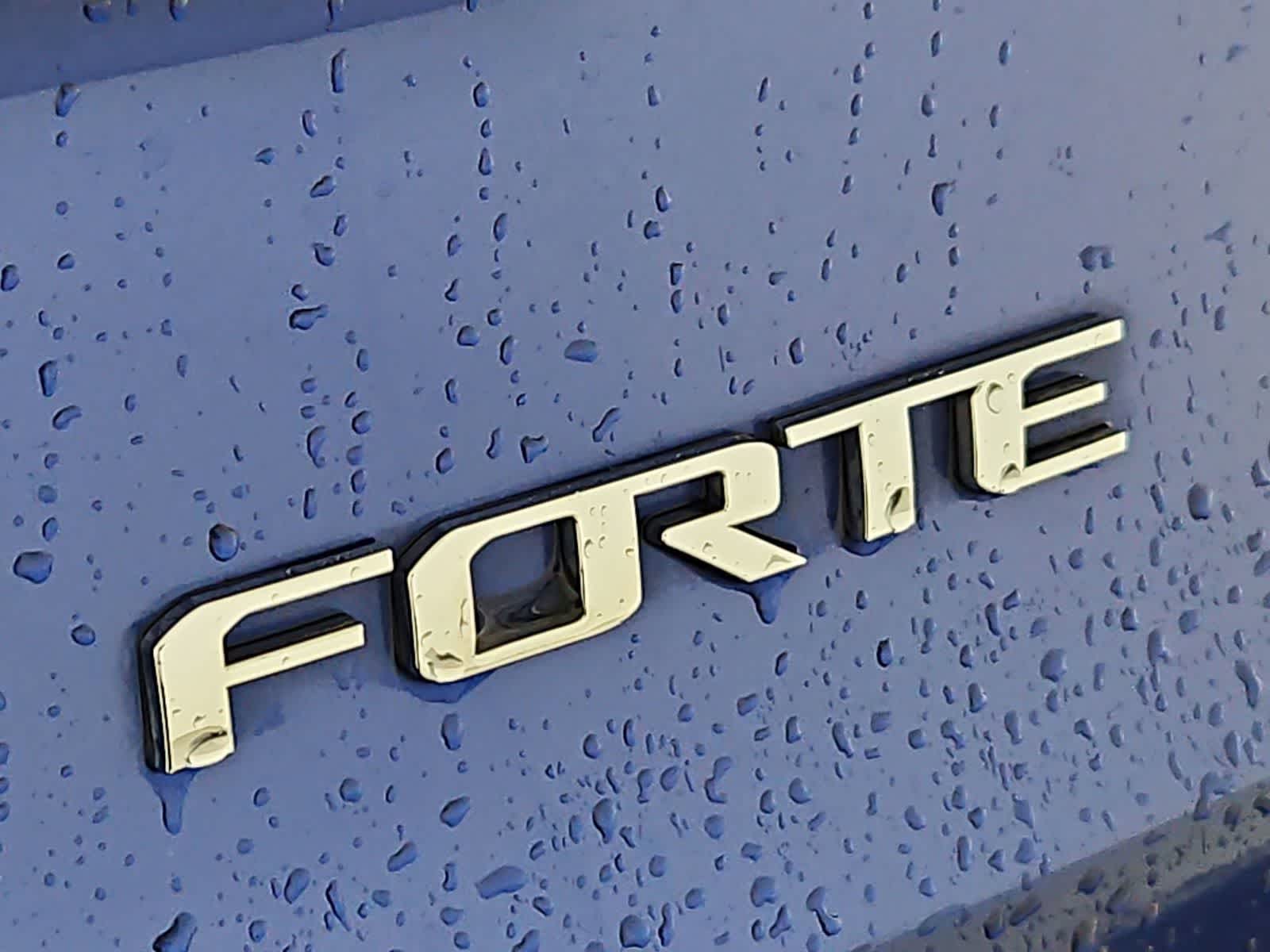 Thumbnail: 2017 Kia Forte - 12