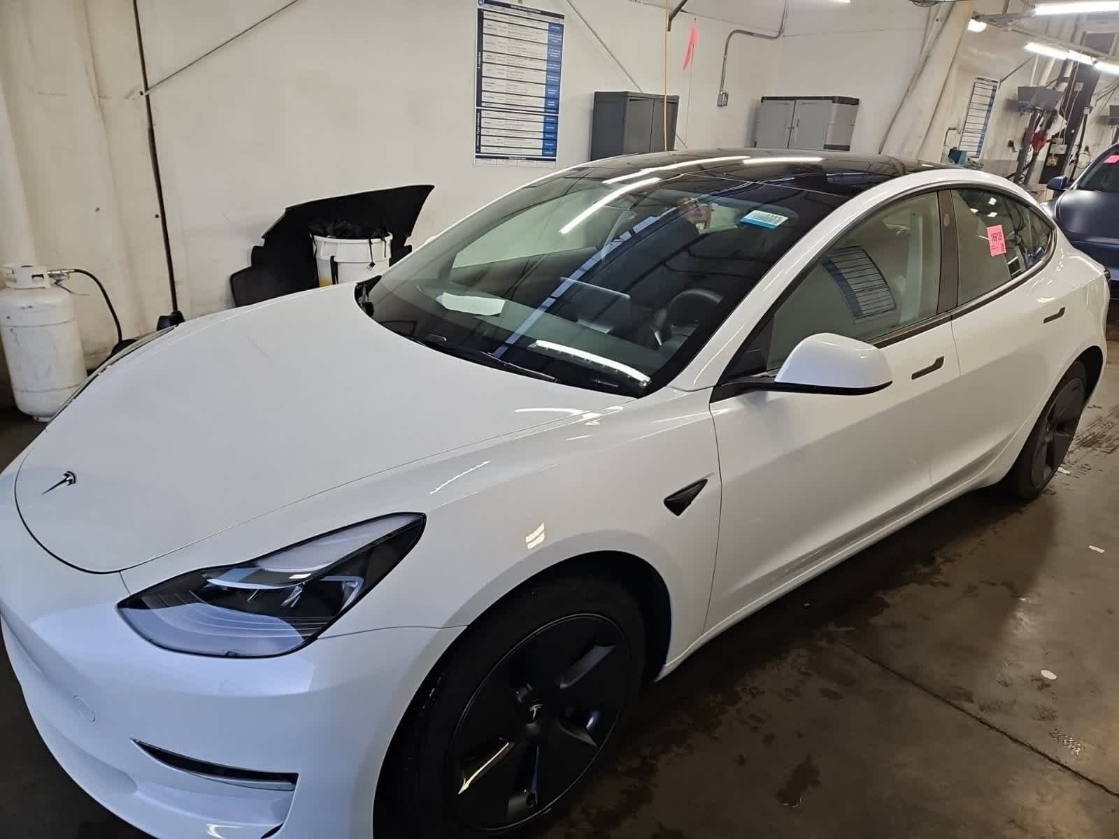 2023 Tesla Model 3 Base's photo